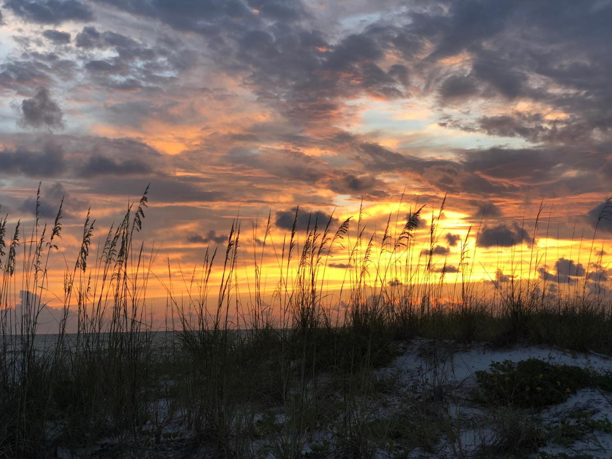 Summer Breeze - Weekly Beach Rental Clearwater Beach Eksteriør bilde